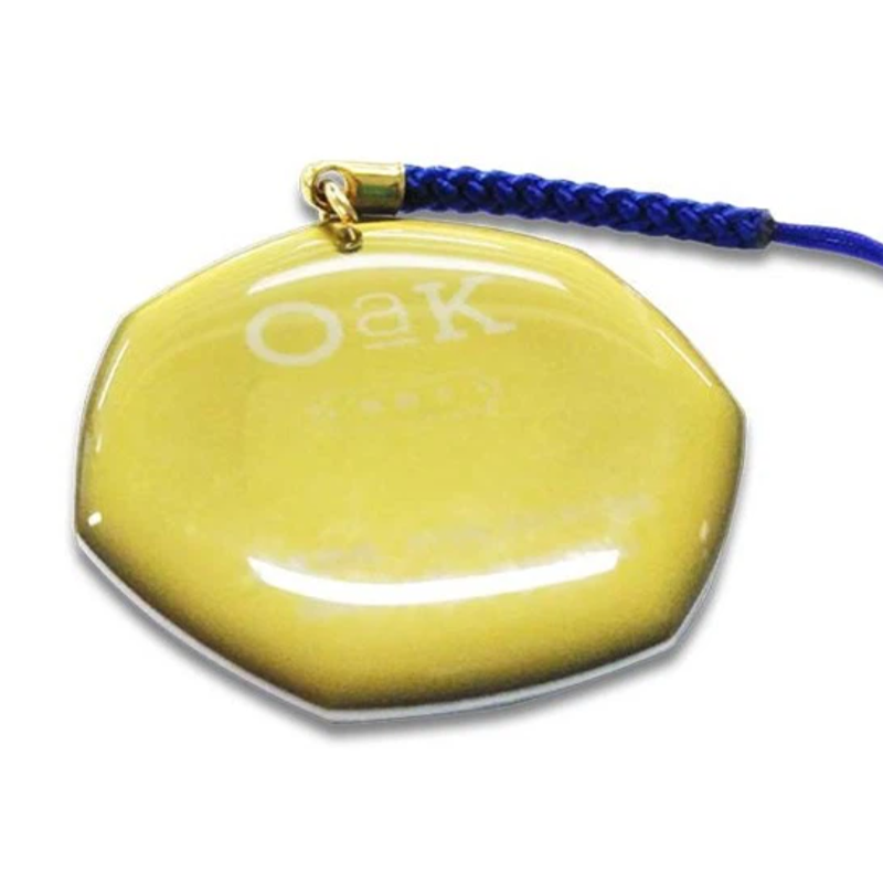 RFID Smart Card Waterproof NFC Tag Custom Logo NFC Epoxy Tags/Key Chain